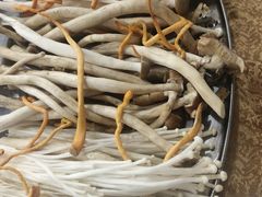 -五洞培记山庄·鲜牛肉火锅