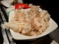 绣球菌-海底捞火锅(璞丽中心店)
