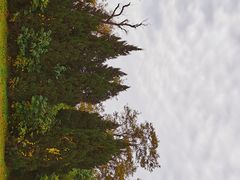 -汉长安城未央宫国家考古遗址公园