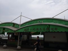 -大湾区中央湿地公园-十九涌