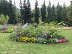 -深圳仙湖植物园