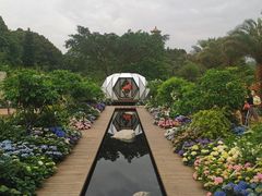 -深圳仙湖植物园