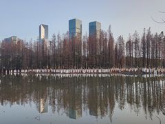 -艾溪湖湿地公园