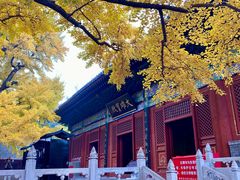 -红螺寺