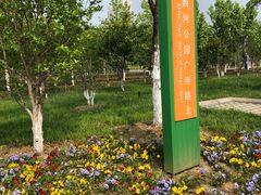 -滨湖塘西河公园