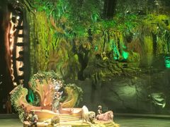 -广州长隆国际大马戏