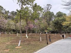 -东莞植物园