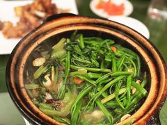啫啫空心菜-煲煲好(朝阳门店)