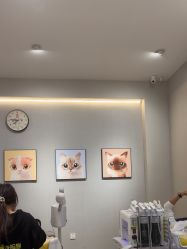 -洗脸猫·洗脸吧