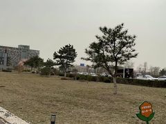 -莫子山公园