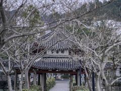 -慈城古县城景区