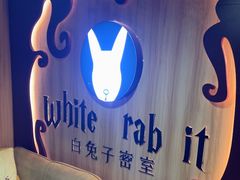 -白兔子密室(长寿路店)