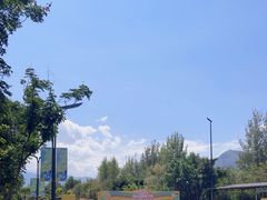 -西昌邛海湿地