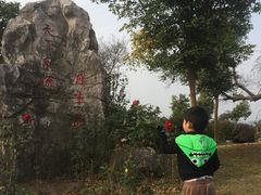 -鹅湖玫瑰文化园