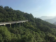 -金鸡山公园