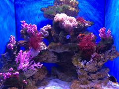 -多彩贵州城极地海洋世界