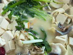 -姚记抚仙湖野生菌石锅鱼庄