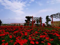 -芒洲湿地公园