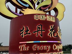 -神州牡丹园