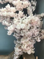 点击看大图 -可爱多国际儿童摄影会馆(龙泉店)