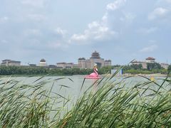 -莲花池公园