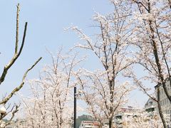 -几荷·恰似故人来(秀水广场店)