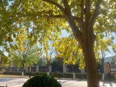 -北京国家会计学院