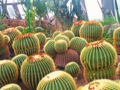 -北京植物园-展览温室