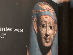 -中华世纪坛