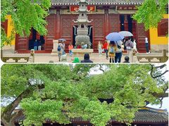 -西园戒幢律寺
