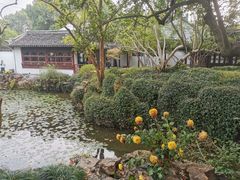 -上海醉白池公园