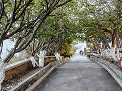 -烟台山景区
