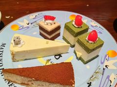提拉米苏-松子料理(亮马桥店)
