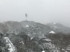 -紫金山天文台