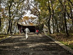 -武侯墓风景区