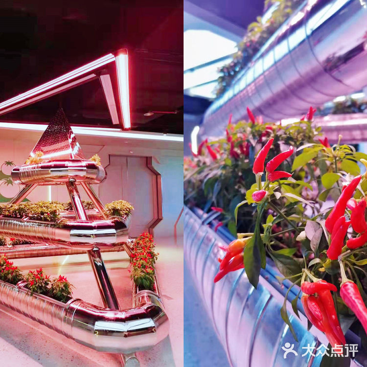 广州花城汇🌶亲子活动科技农场🥬农都里