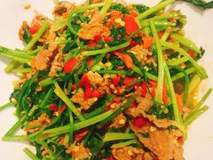 -壹盏灯(惠农店)
