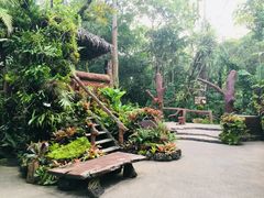 -绿光森林餐厅