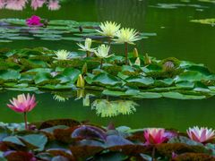 -国家植物园南园