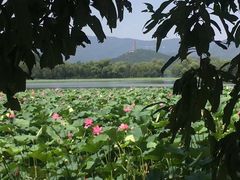 -颐和园-景明楼