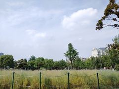 -大宁公园