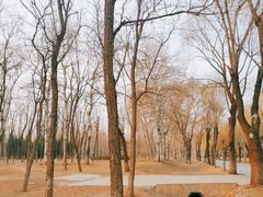 -将府公园