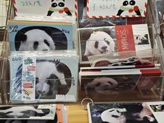 -熊猫邮局(少城店)
