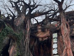 -杭州长乔极地海洋公园