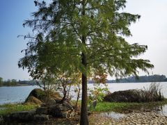 -东湖落雁景区