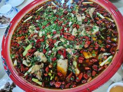 -东吴霸王兔(松青路店)