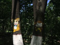 -宝鸡植物园
