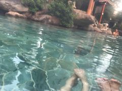 -唐风温泉