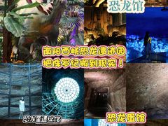 -中国西峡恐龙遗迹园