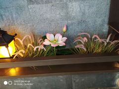 -重庆德庄火锅(映月湖环宇城店)
